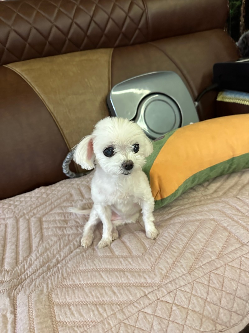 미용한 단비!