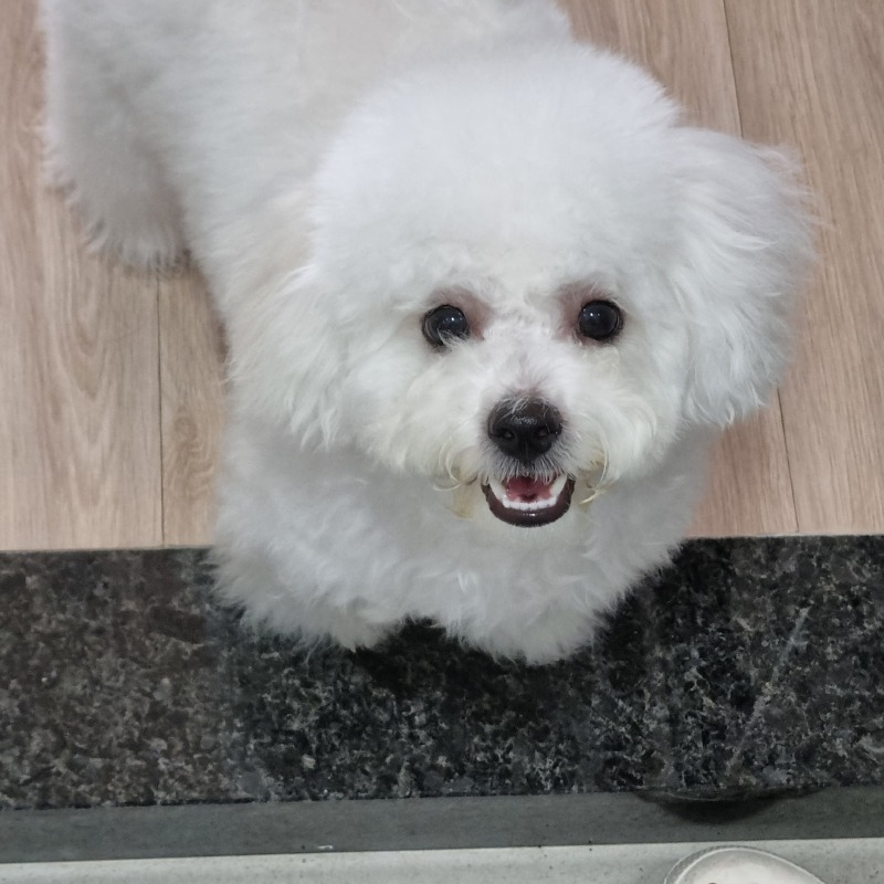 눈나 바라기 뭉치❤️