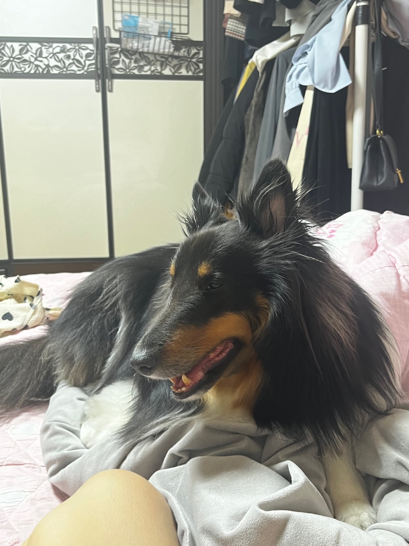 잠오면 가서 자…