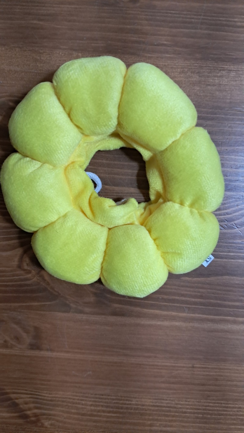 1000032709.jpg