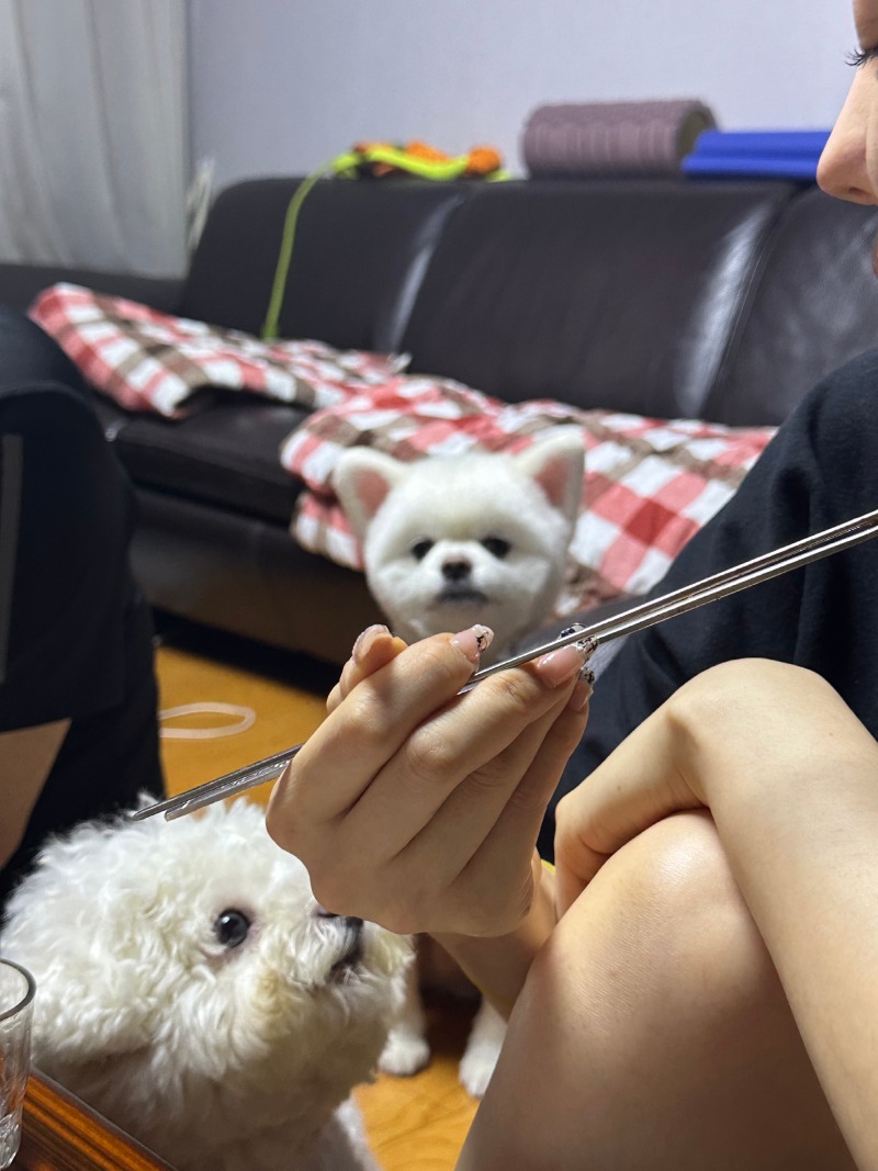 친구가 놀러왔어요!