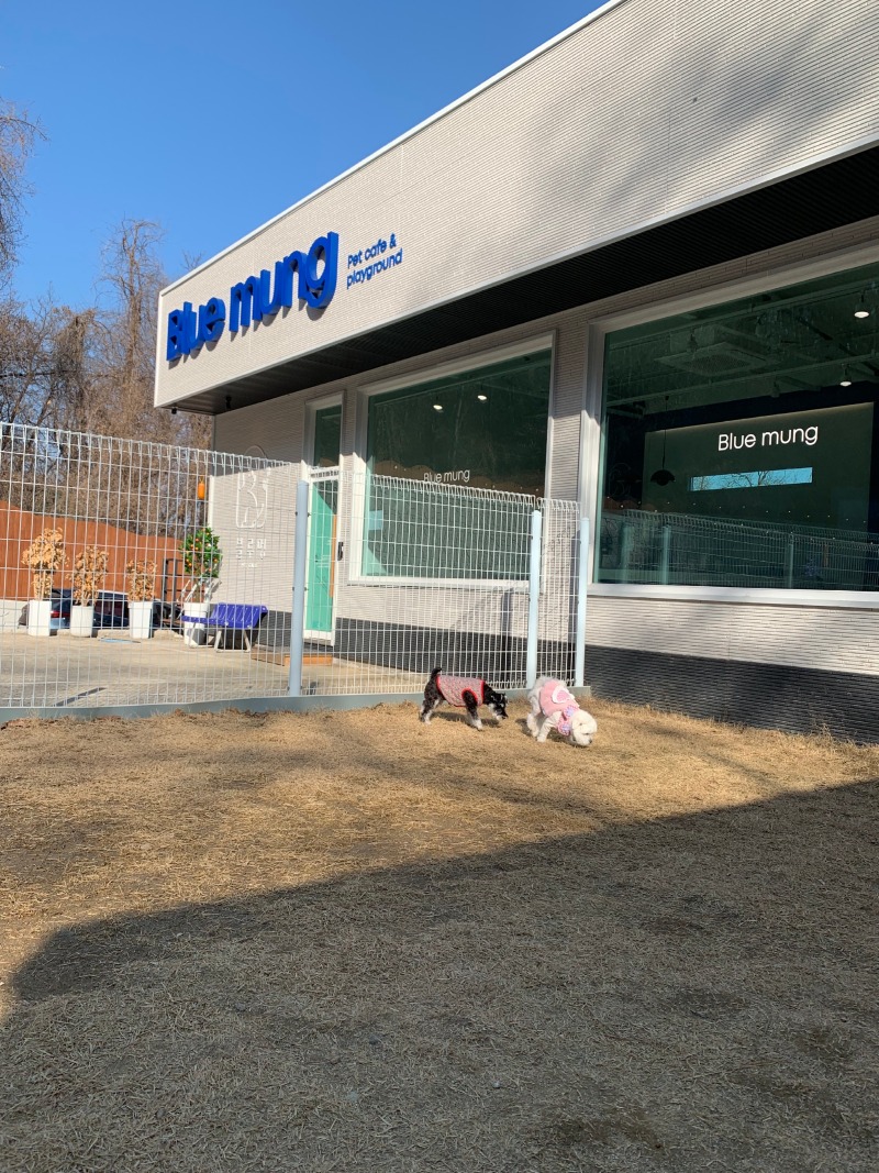 대구 수성구 블루멍 오픈런!!!