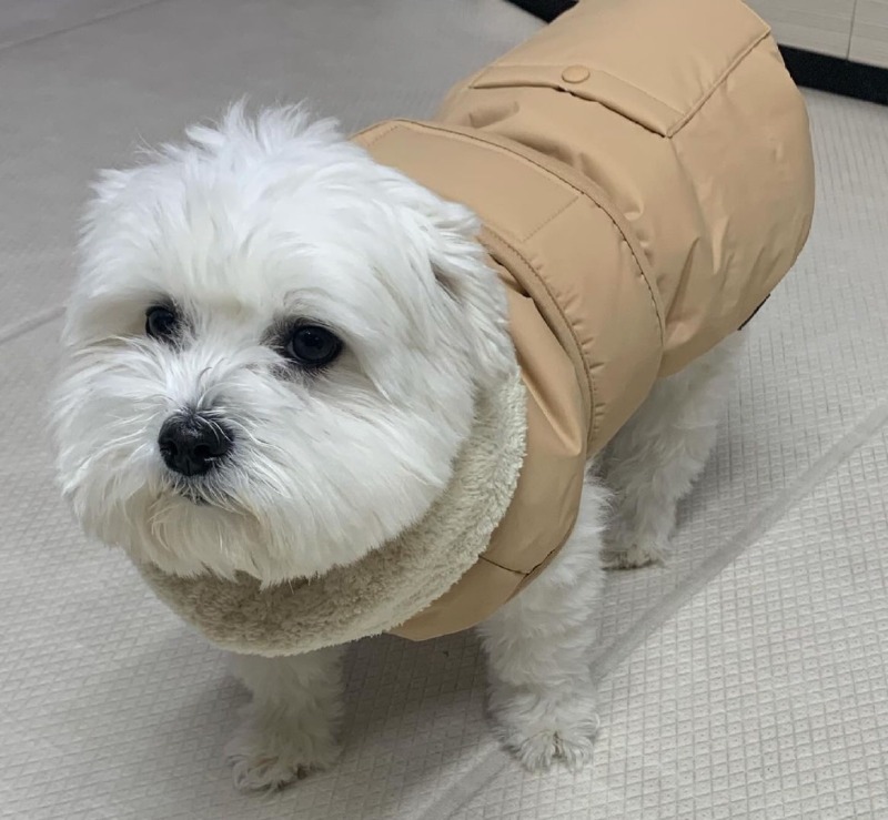 잃어버렸던 옷을 찾았는데///////////