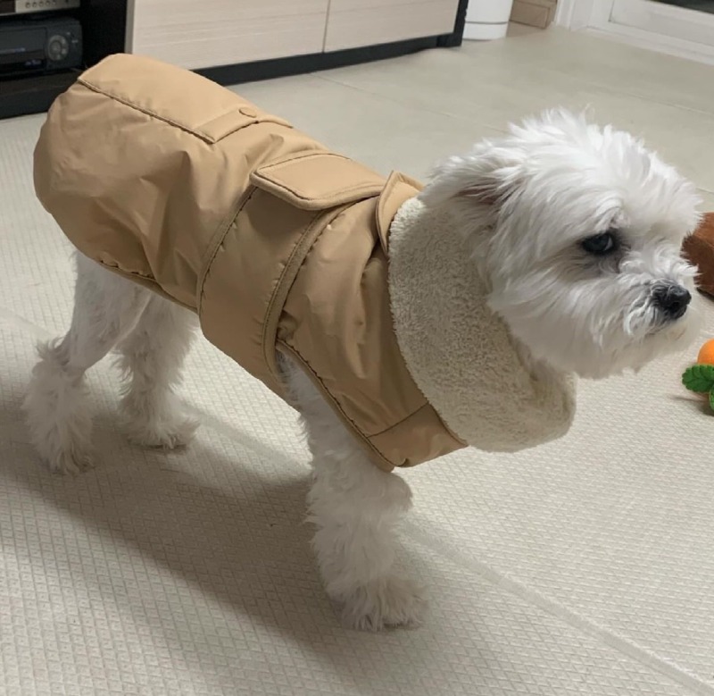 잃어버렸던 옷을 찾았는데///////////