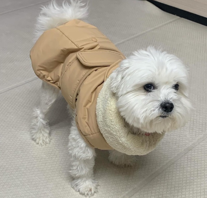 잃어버렸던 옷을 찾았는데///////////