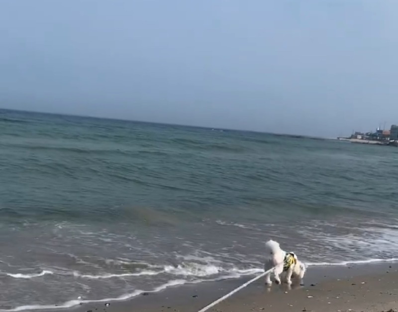 잃어버렸던 옷을 찾았는데///////////