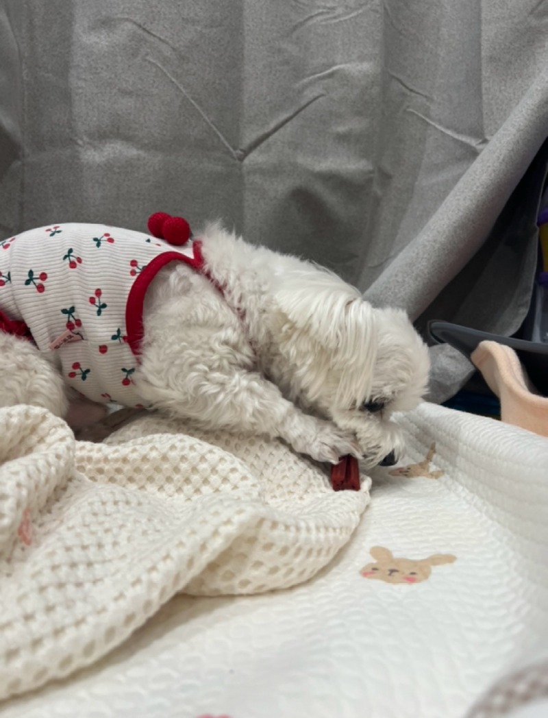 KakaoTalk_20240520_191932505_05.jpg