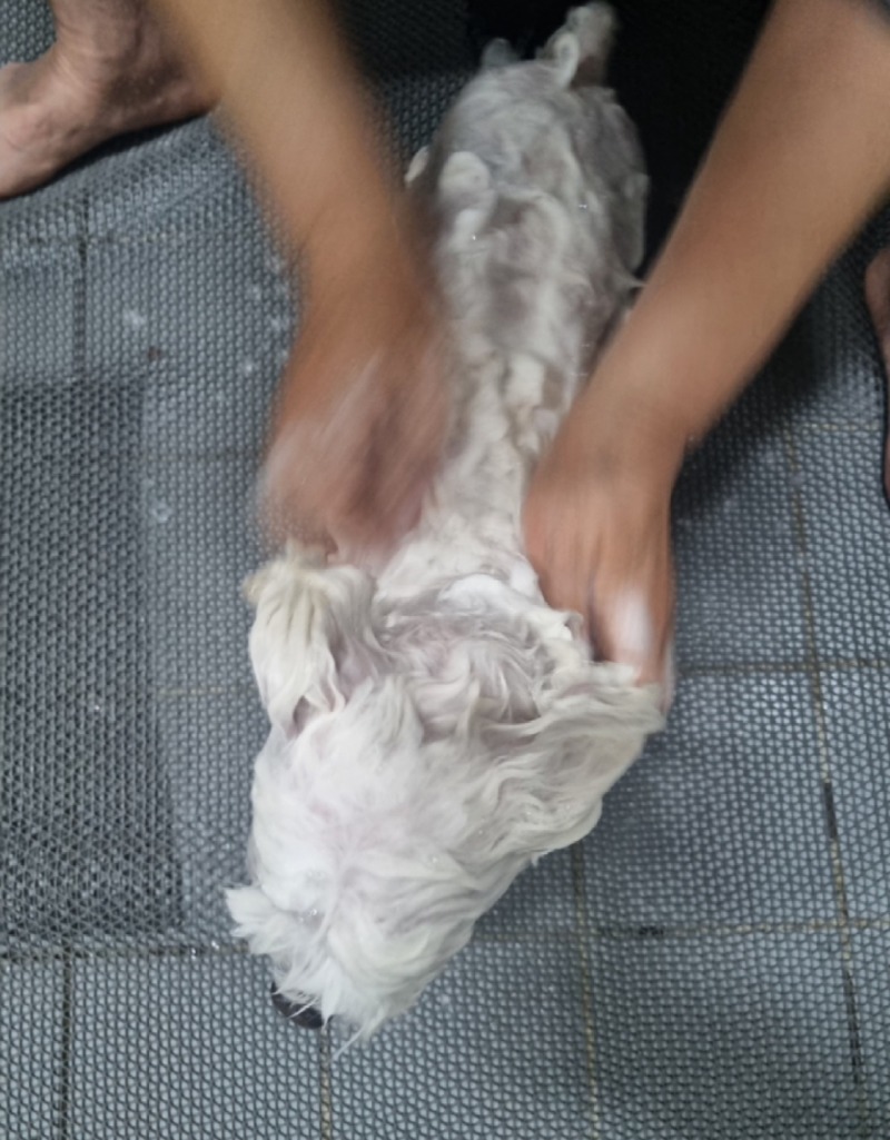 KakaoTalk_20240520_191520050_01.jpg