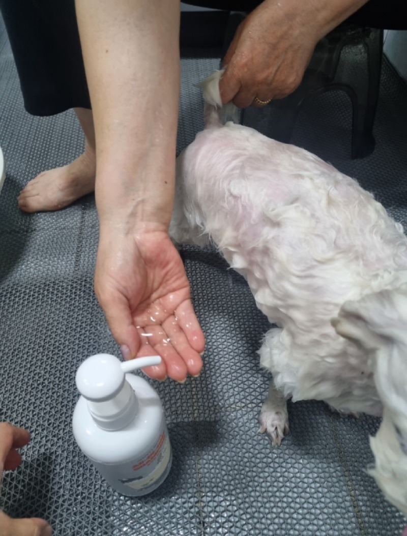 KakaoTalk_20240520_191520050_05.jpg