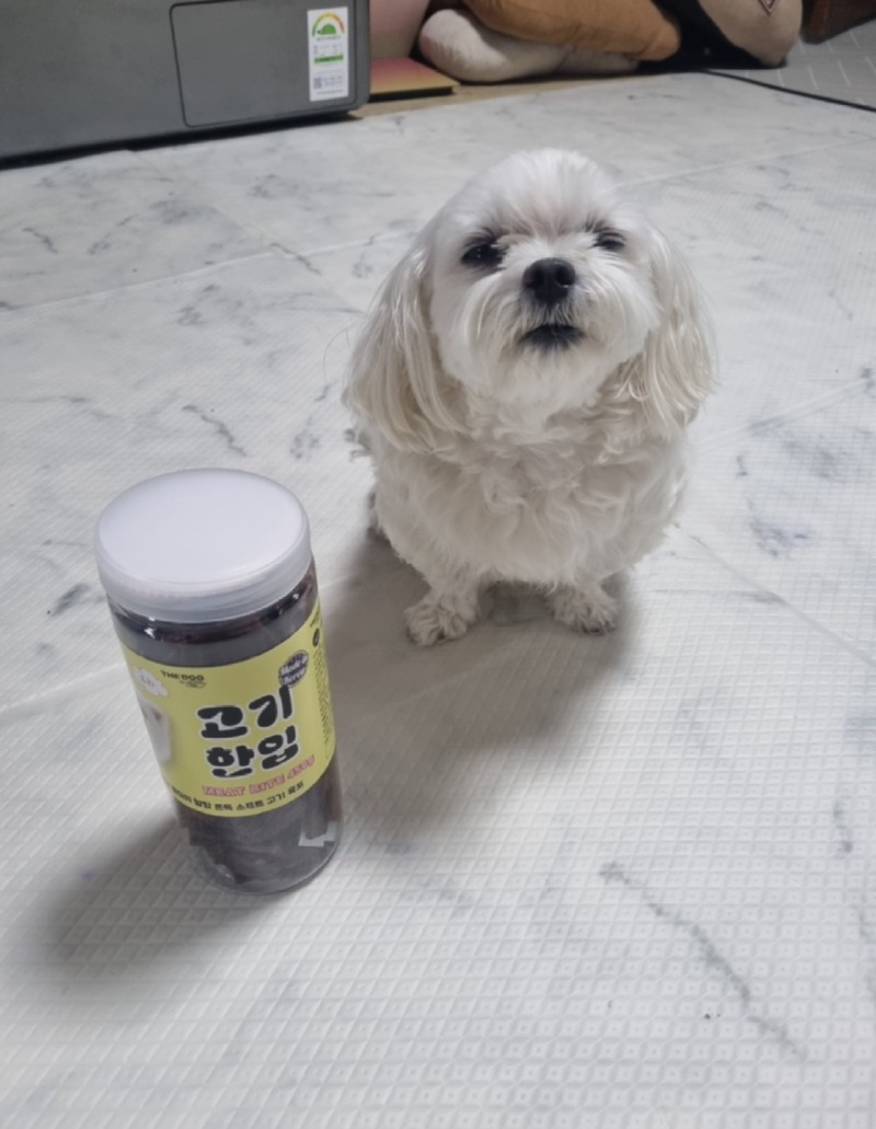 KakaoTalk_20240520_191331447.jpg