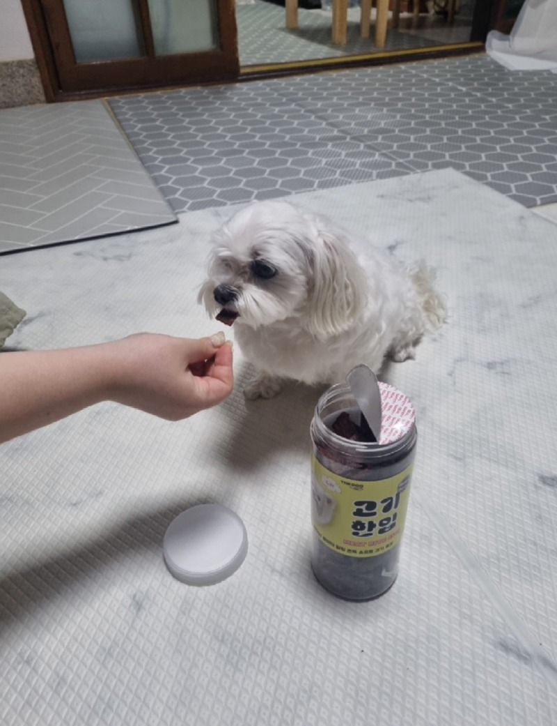 KakaoTalk_20240520_191331447_01.jpg