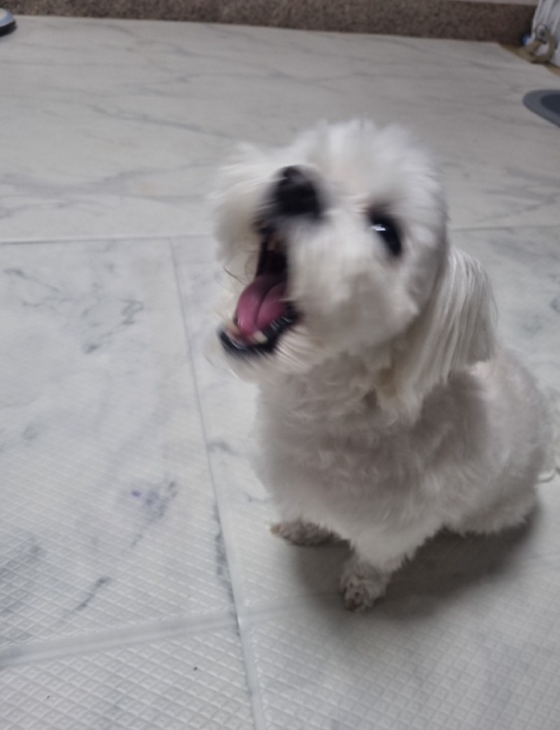 KakaoTalk_20240520_191331447_05.jpg