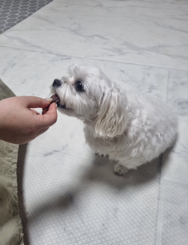 KakaoTalk_20240520_191331447_06.jpg
