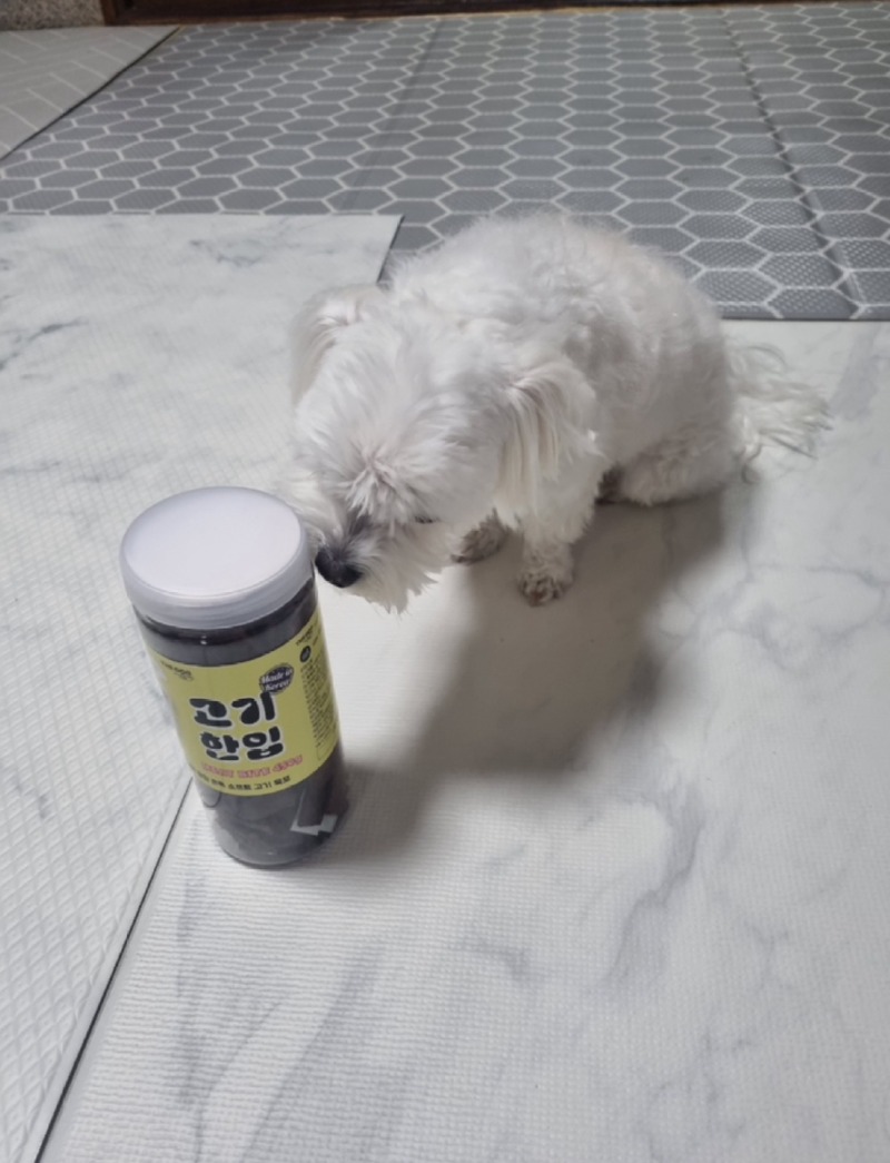 KakaoTalk_20240520_191331447_08.jpg