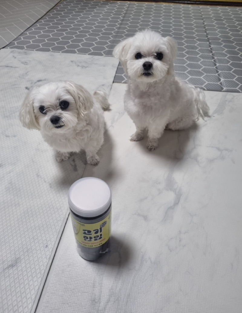 KakaoTalk_20240520_191331447_09.jpg