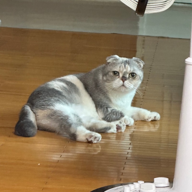제일 귀여운 포즈