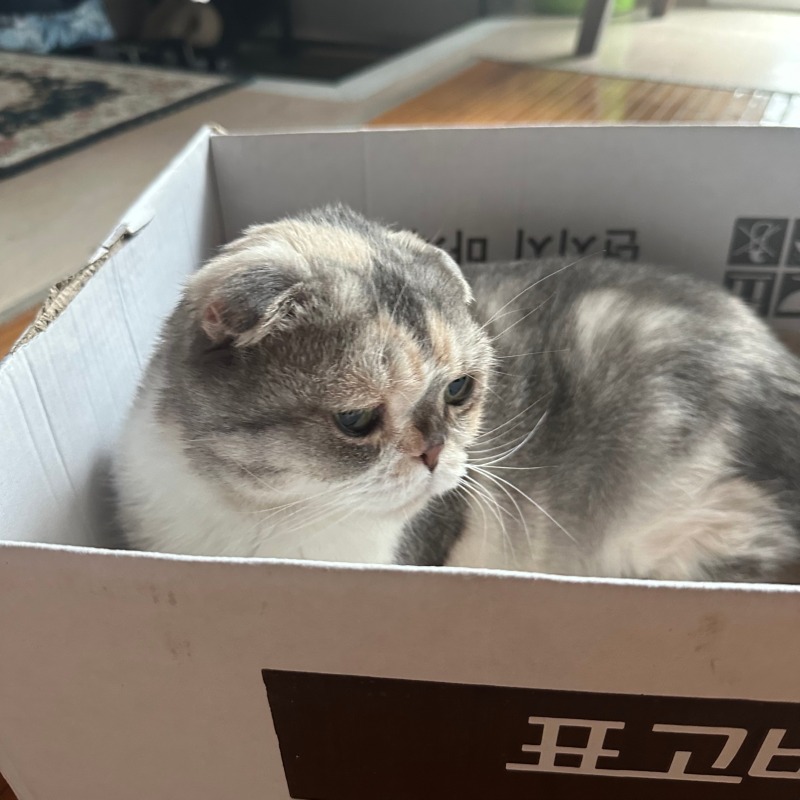 KakaoTalk_20240512_142241304_04.jpg