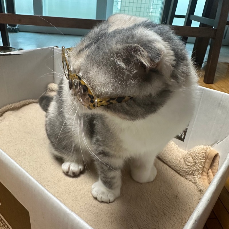 KakaoTalk_20240521_184509739_02.jpg