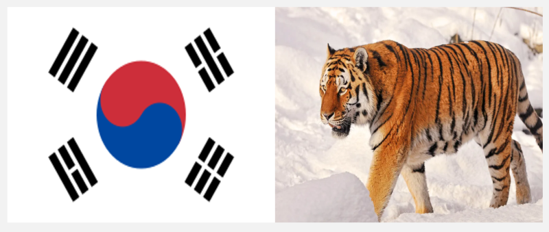 나라를 상징하는 동물 - (3)