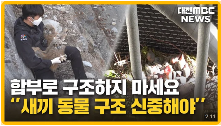 야생동물 관련 신고는 어디에 해야할까? - 길에서 야생동물을 주웠을 경우