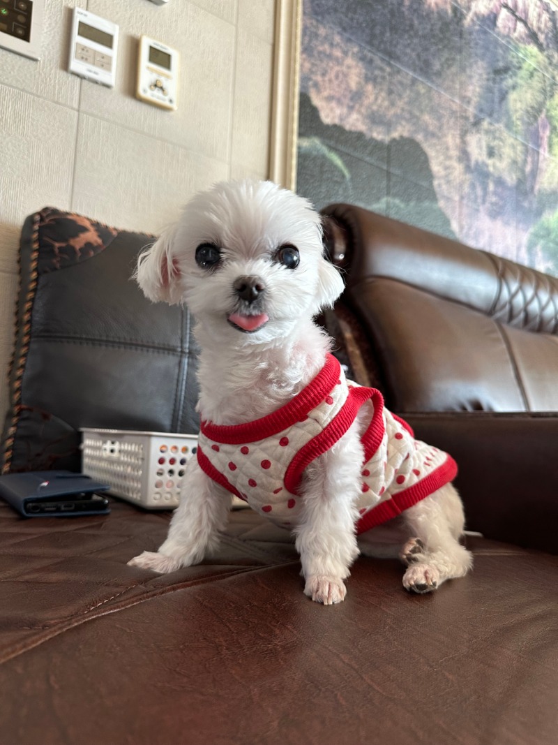 너무 귀여운단비에요!