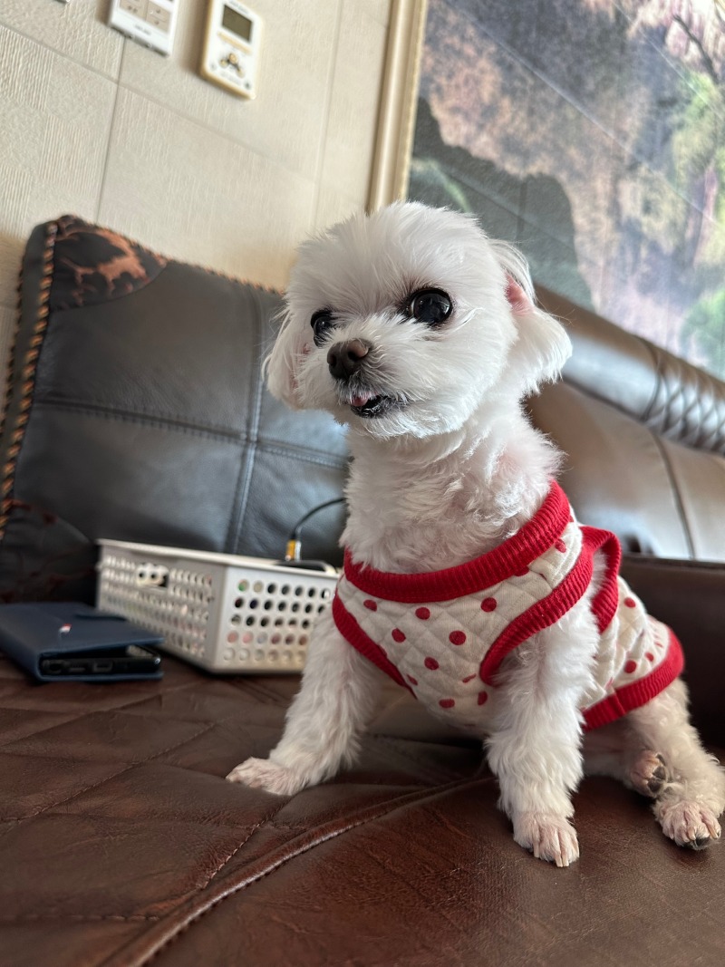너무 귀여운단비에요!
