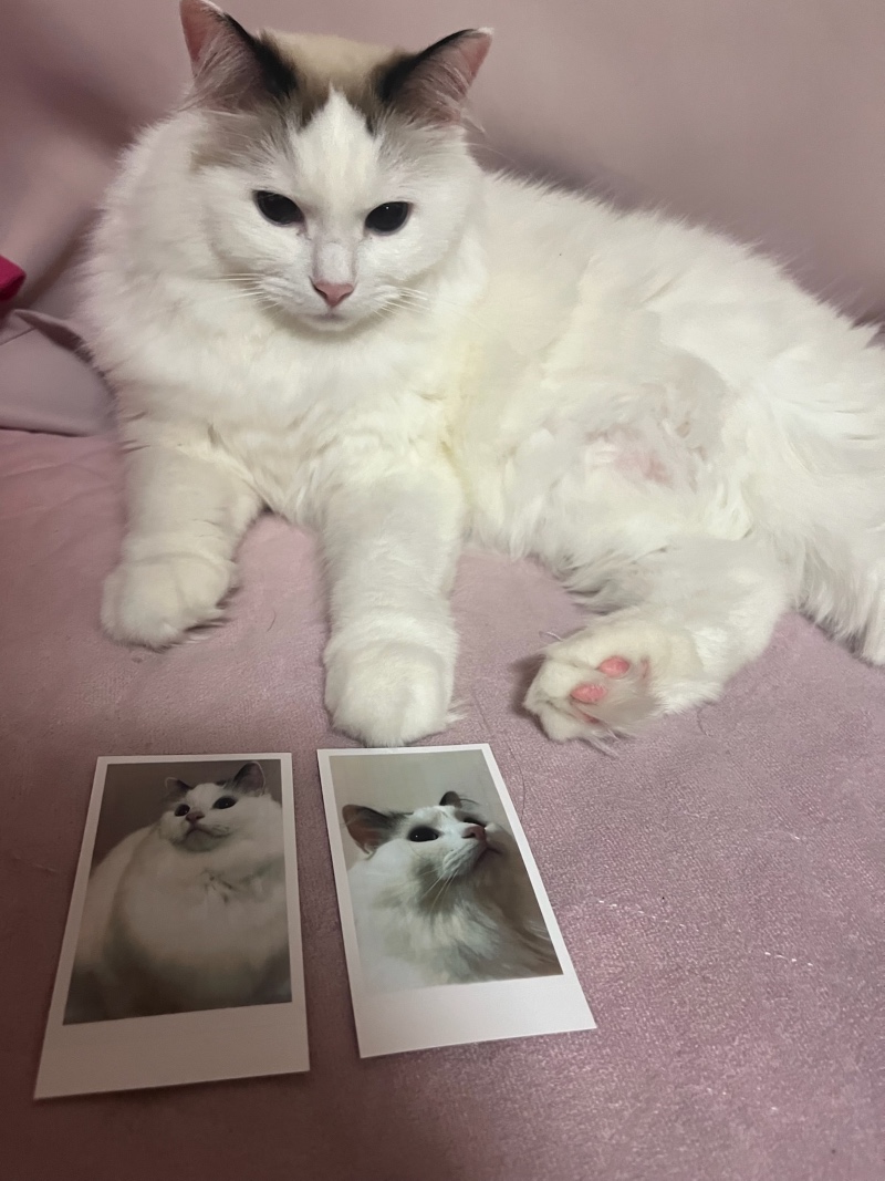 추억 간직하기