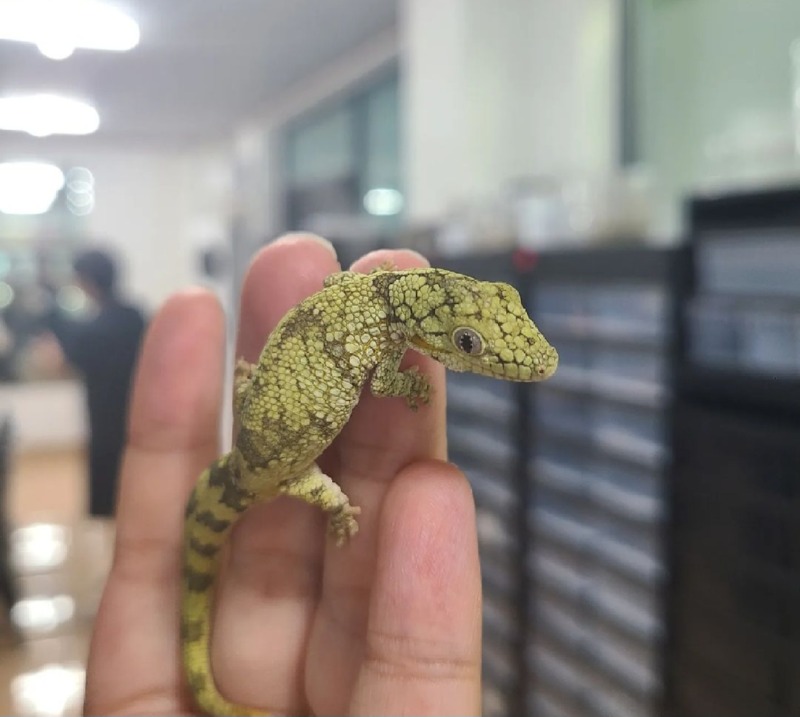 새로운 친구 입양^^
