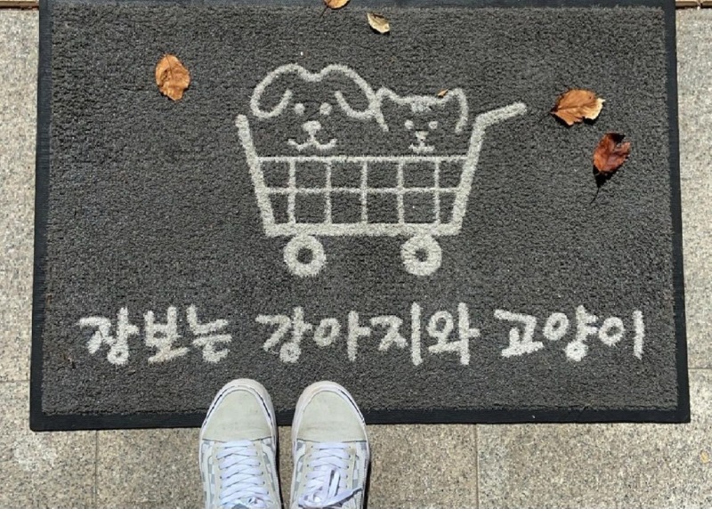 정관장보는 강아지와 고양이