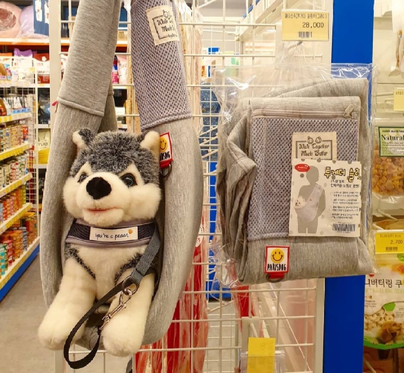 정관장보는 강아지와 고양이