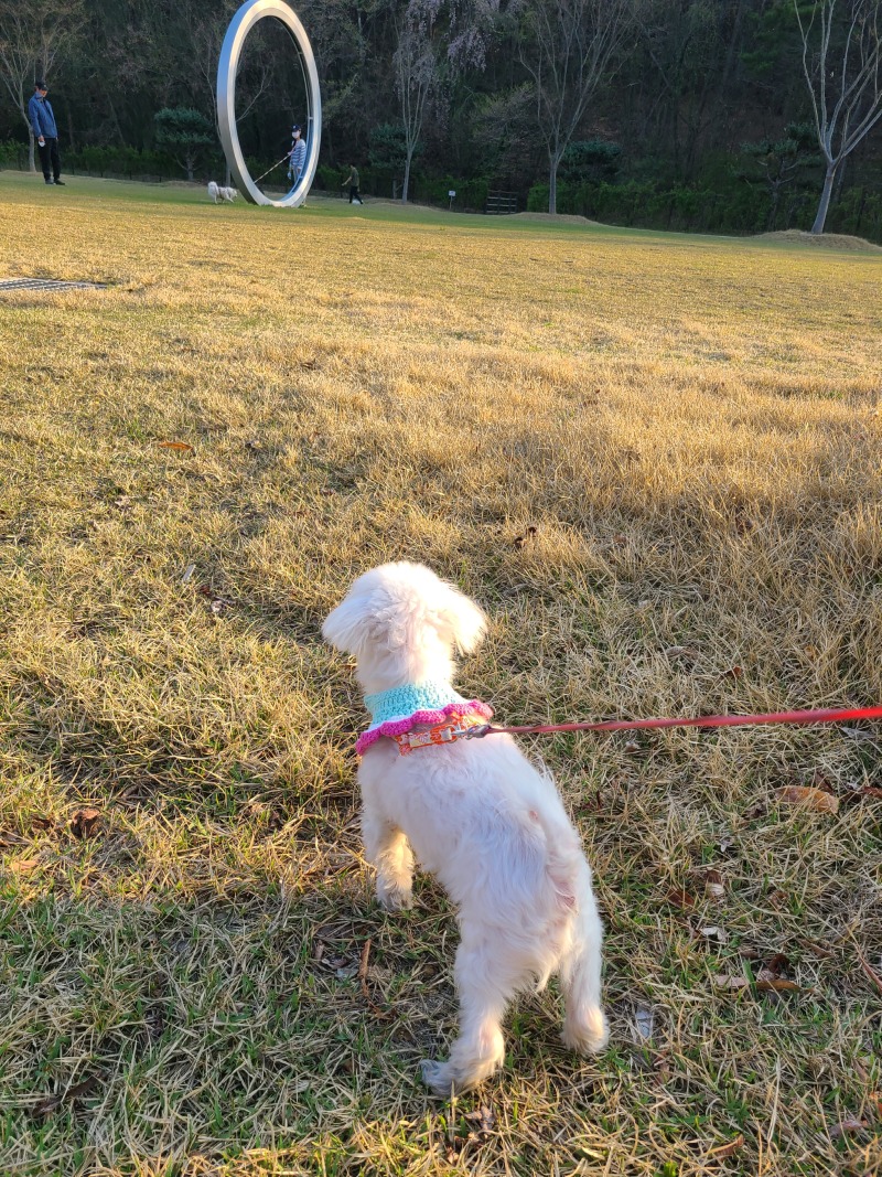 산책단비에요~