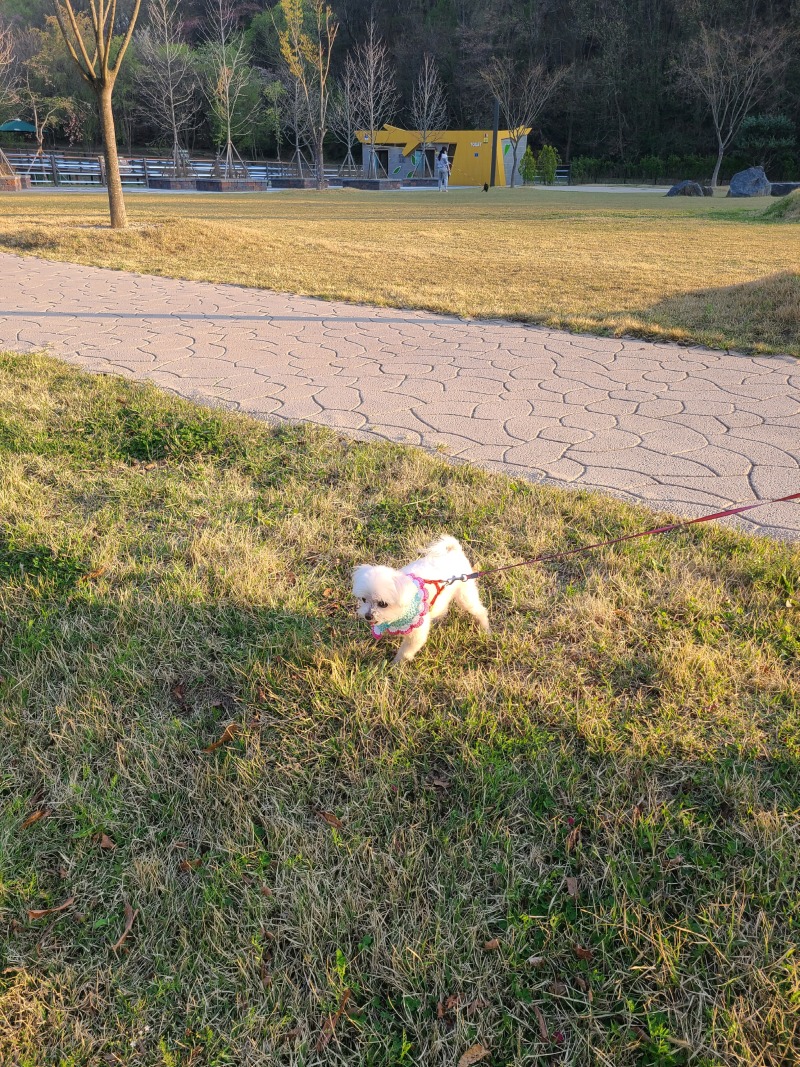 산책단비에요~