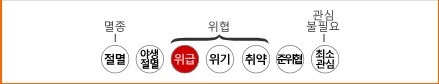 신비한 도롱뇽 우파루파