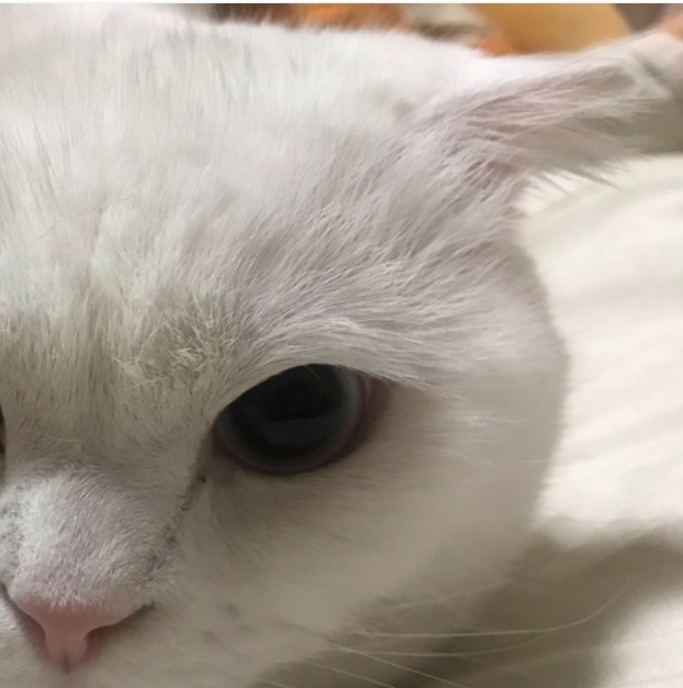 장난치고 노는중 ㅎㅎ