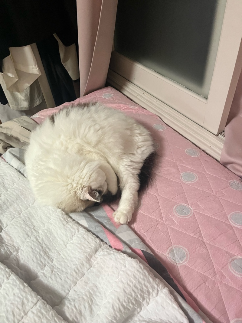 잘 때가 세상 기욥