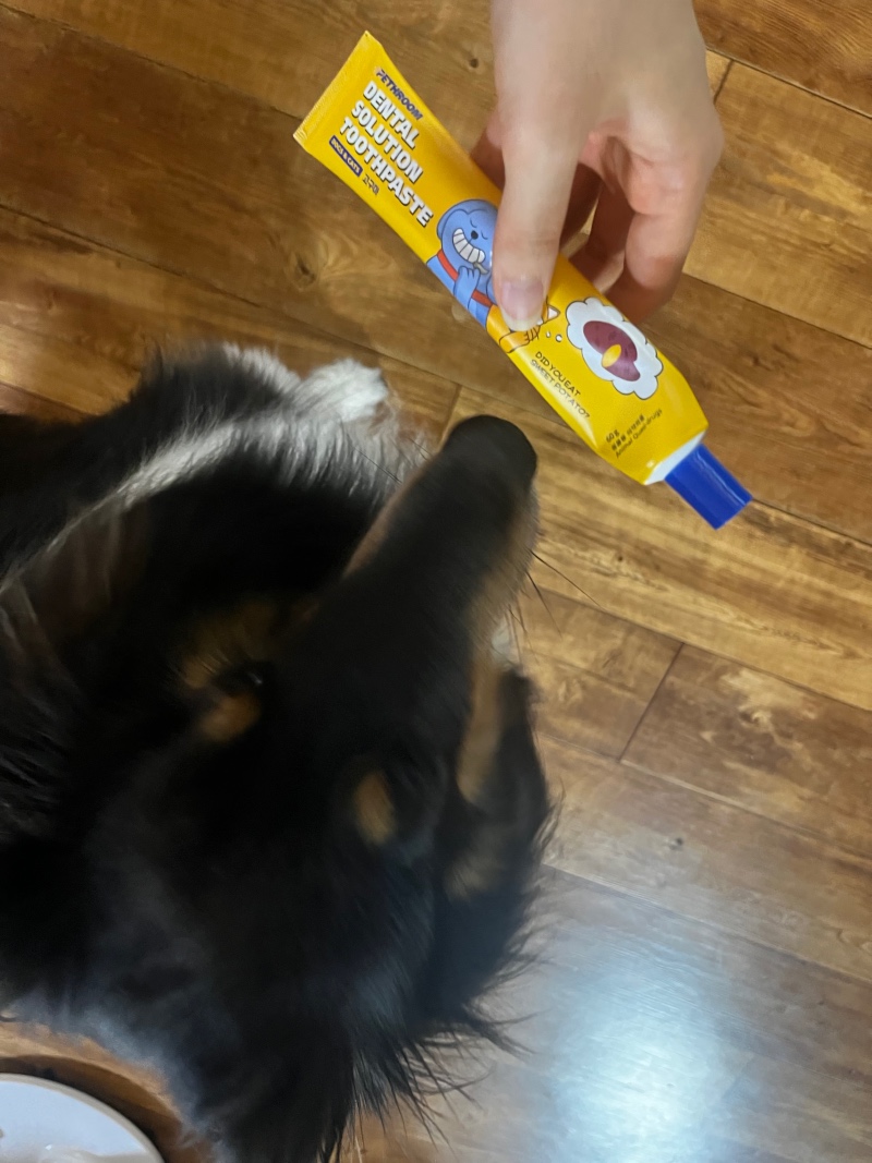 IMG_4522.jpeg