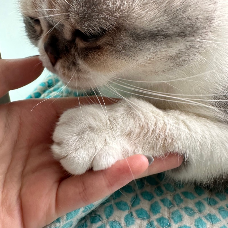 KakaoTalk_20240603_184622220.jpg
