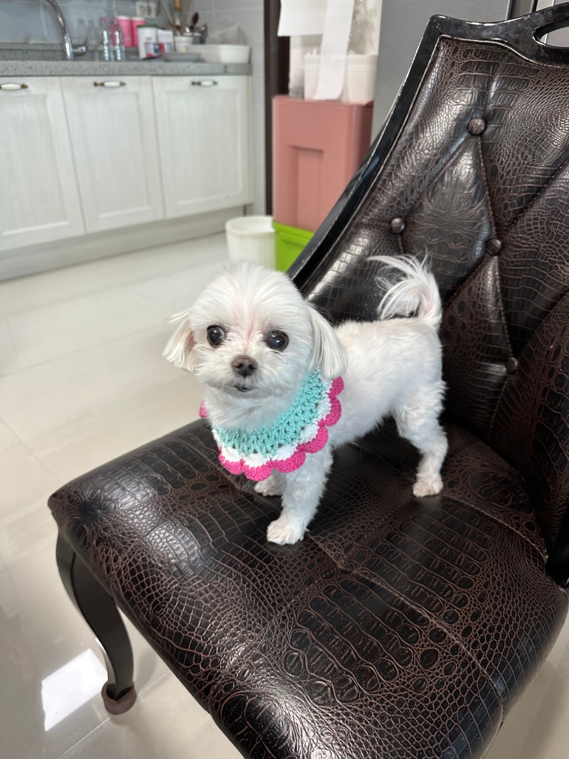 예쁜단비!