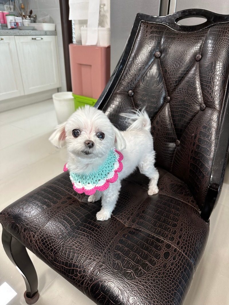 예쁜단비!