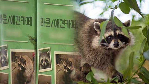 야생동물 전시금지제도 시행 (이제 동물 카페가 불법???) 