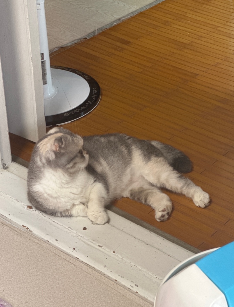 IMG_6289.jpeg