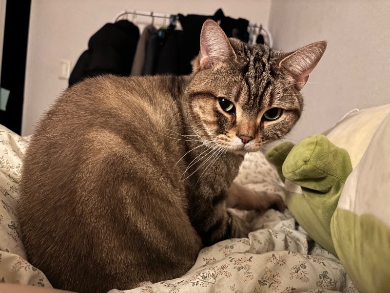 IMG_8631.jpeg