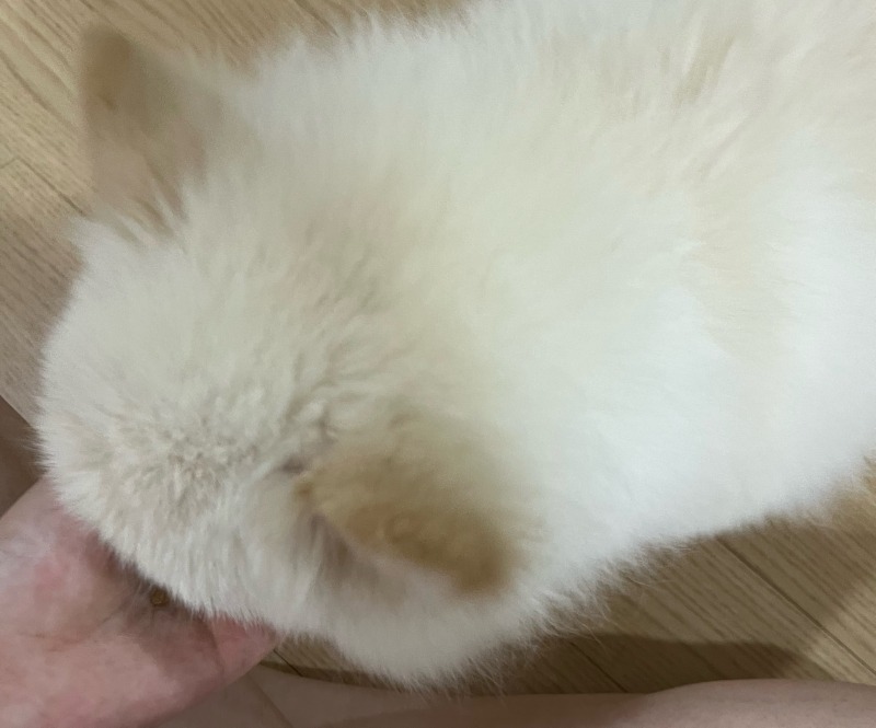 KakaoTalk_20240614_173158286_04.jpg