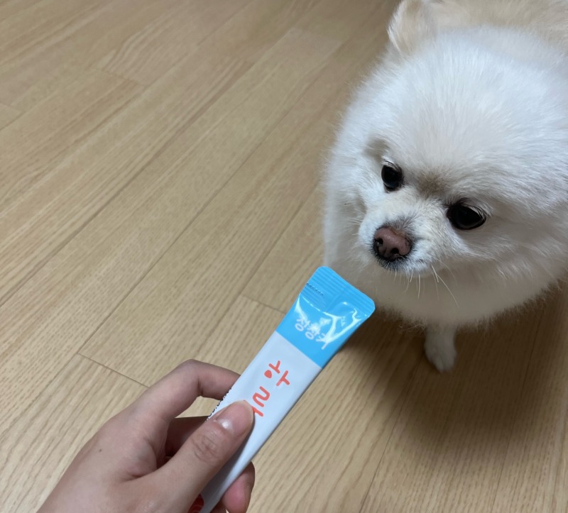 KakaoTalk_20240614_173158286_01.jpg