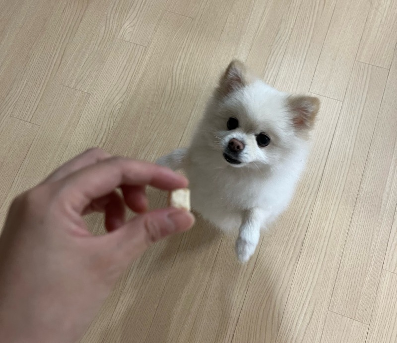 KakaoTalk_20240614_173158286_06.jpg