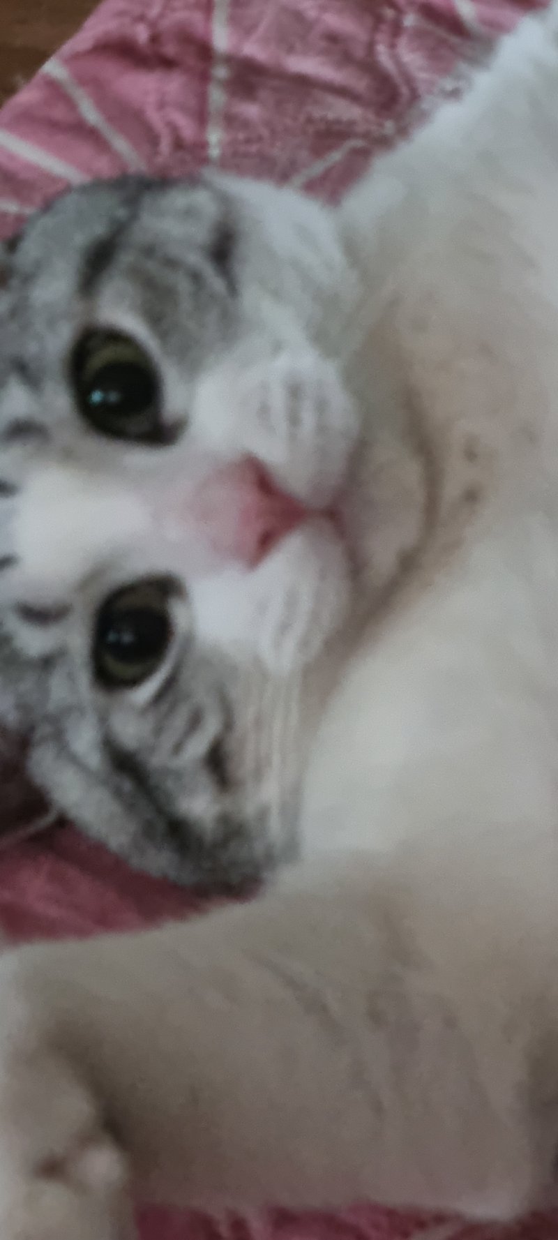 껴안고 낮잠 ㅜㅜ