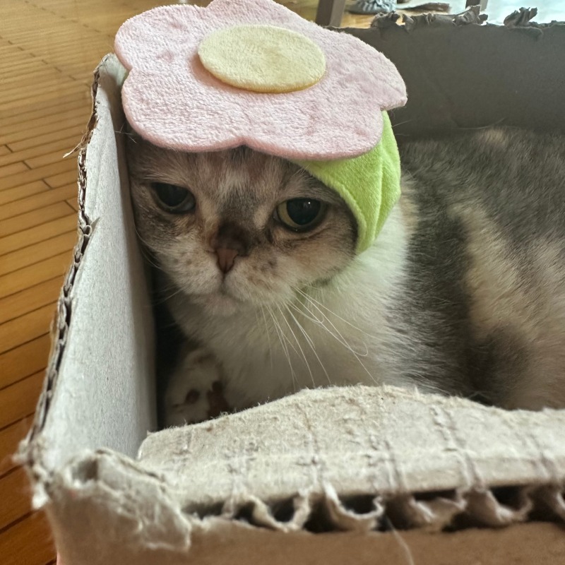 KakaoTalk_20240618_130435234_07.jpg