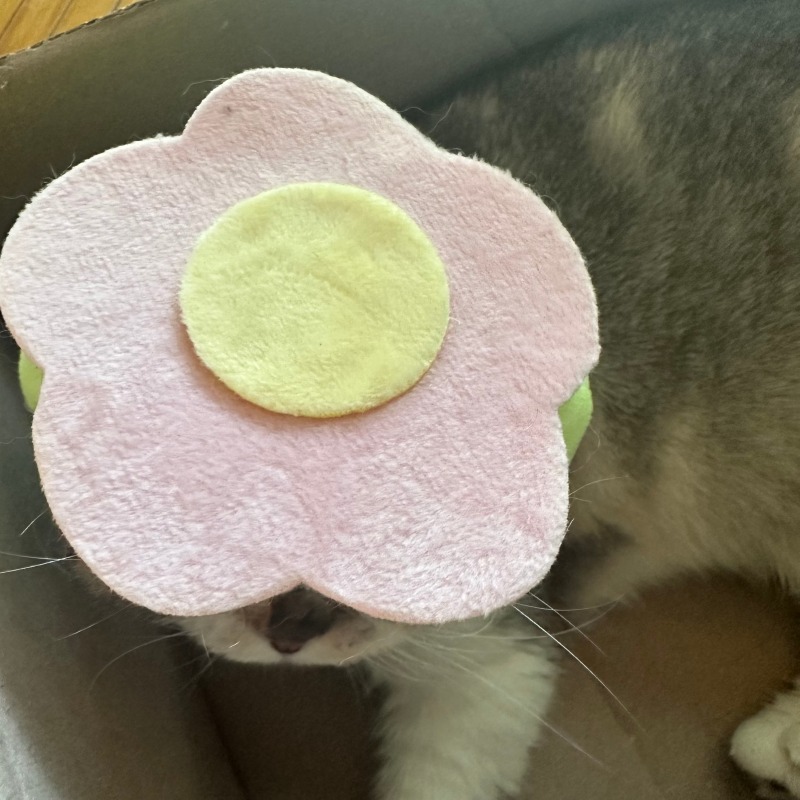 KakaoTalk_20240618_130435234_06.jpg