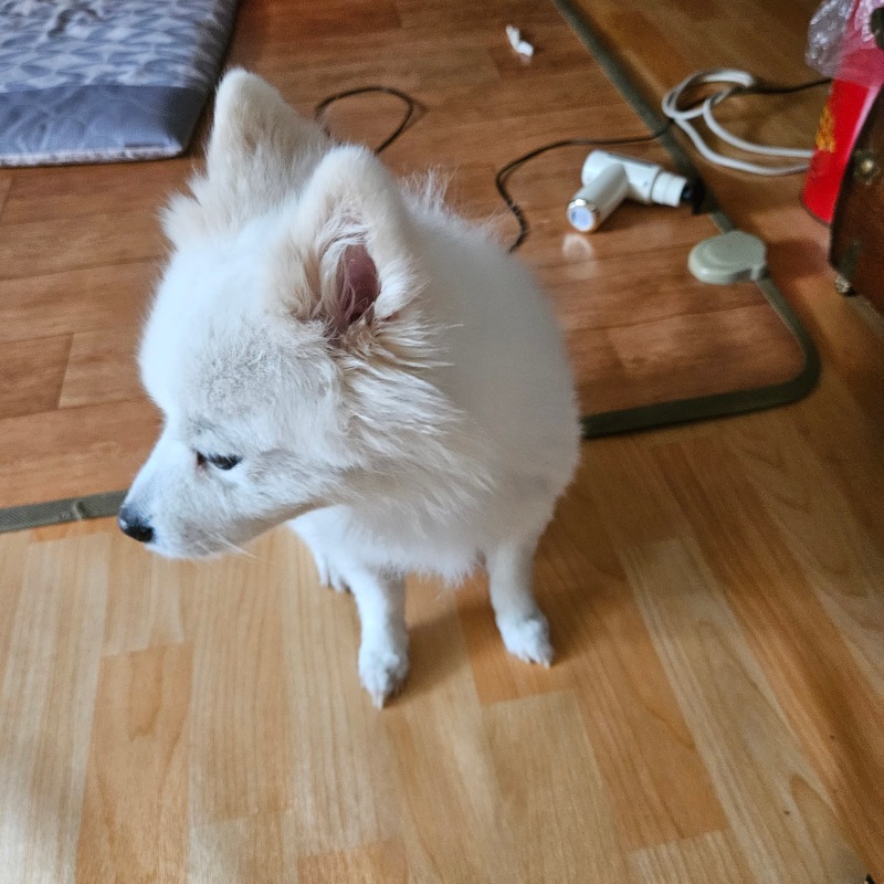옆모습 잘생 ㅋㅋ