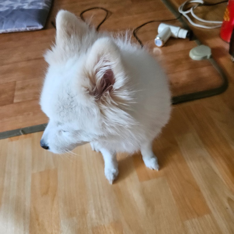 옆모습 잘생 ㅋㅋ